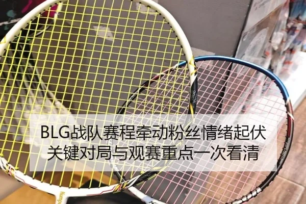 BLG战队赛程牵动粉丝情绪起伏 关键对局与观赛重点一次看清 - wanmeizhenren